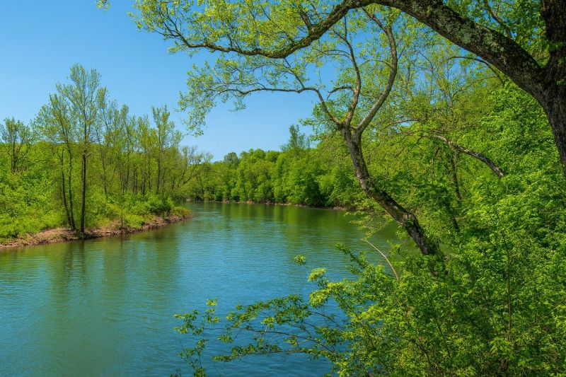 Best Bathtub Installation pros in Ozark, MO